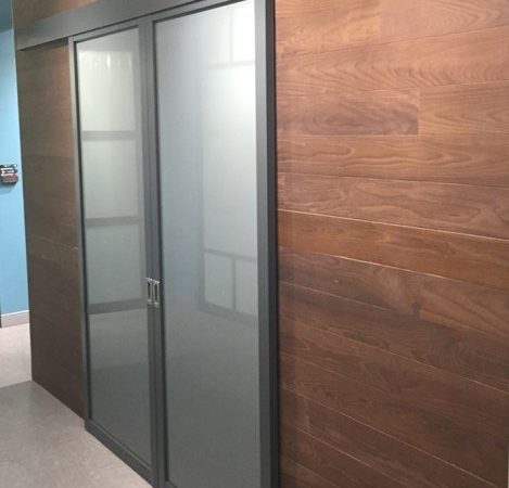 Smoked Frosted Glass Barn Door